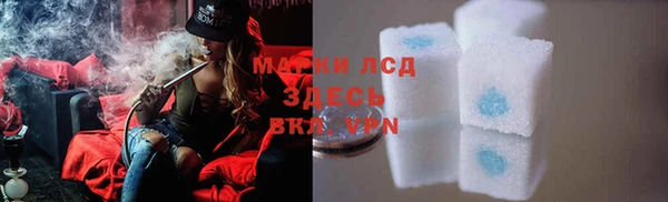 ECSTASY Белая Холуница