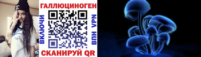 Купить где  Александровск-Сахалинский  Галлюциногенные грибы мицелий 